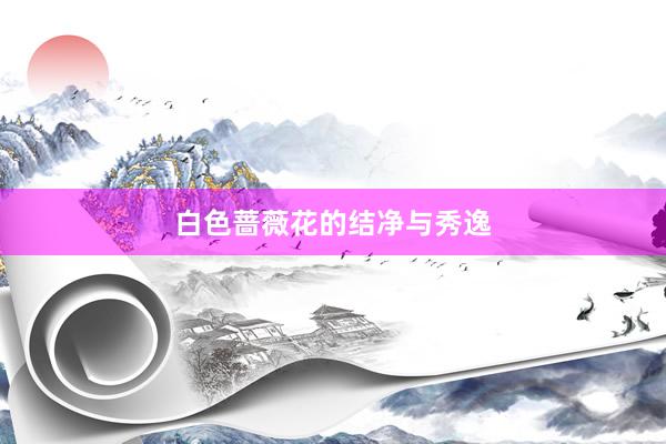 白色蔷薇花的结净与秀逸