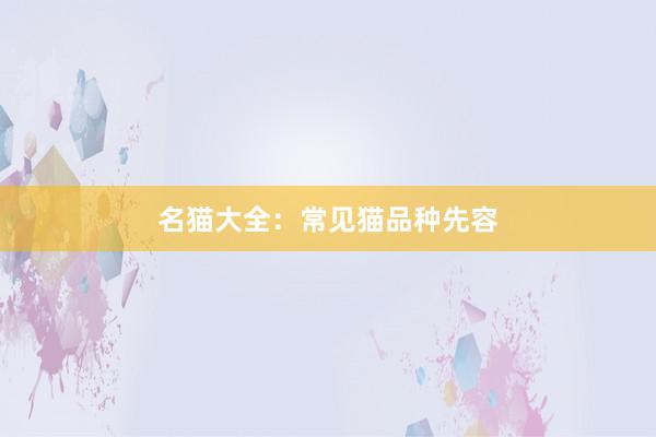 名猫大全：常见猫品种先容