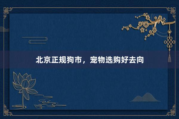 北京正规狗市，宠物选购好去向